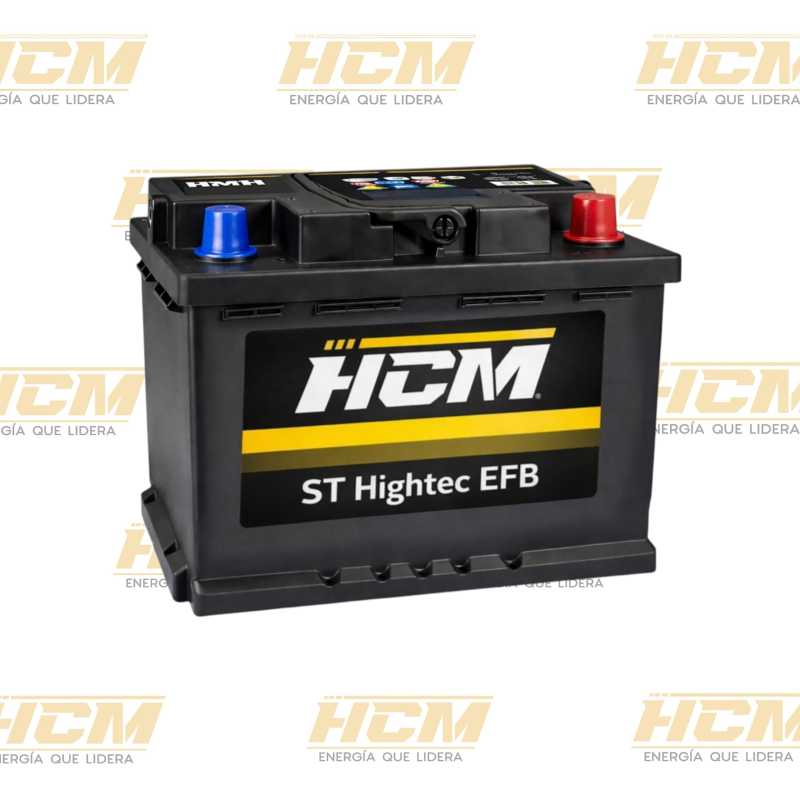 HCM EFB LN2